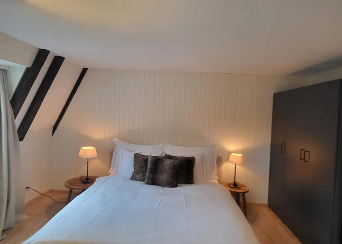 Stylish Apartment In The Heart Of Zug By Airhome